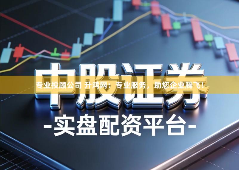 专业投顾公司 升鸿网：专业服务，助您企业腾飞！