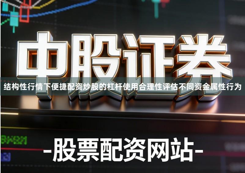 结构性行情下便捷配资炒股的杠杆使用合理性评估不同资金属性行为