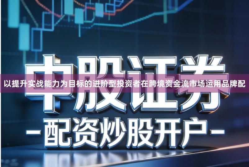 以提升实战能力为目标的进阶型投资者在跨境资金流市场运用品牌配