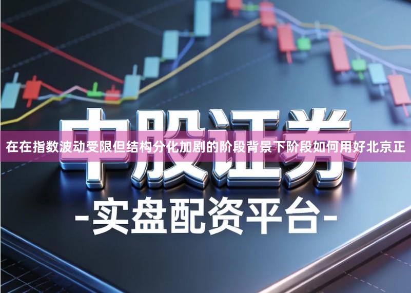 在在指数波动受限但结构分化加剧的阶段背景下阶段如何用好北京正