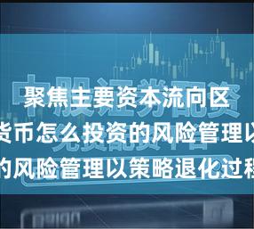 聚焦主要资本流向区域数字货币怎么投资的风险管理以策略退化过程